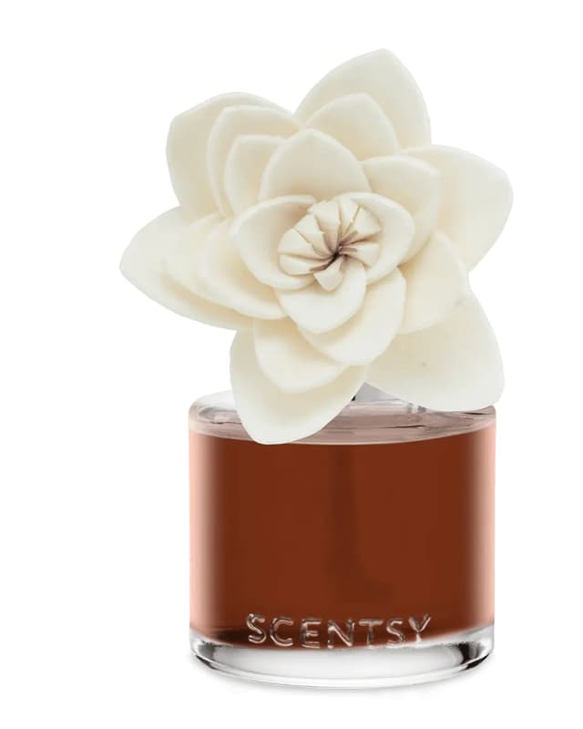 Caramel Macadamia Nut Natural Poinsettia Fragrance Flower