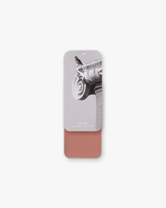 Lip + Cheek satin single in Plum