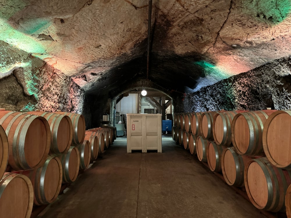 Oak wine barrels lining a stone cave at Buena Vista Winery in Sonoma