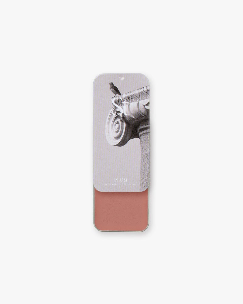 Lip + Cheek satin single in Plum