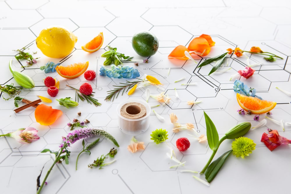An open MojiLife fragrance pod on a white table surrounded by citrus slices, berries, herbs and flowers