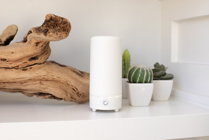 A white AirMoji diffuser on a white shelf beside driftwood and small potted succulents
