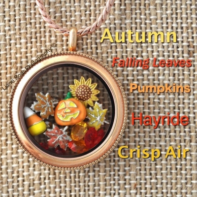 Connie Bruns, Origami Owl Designer