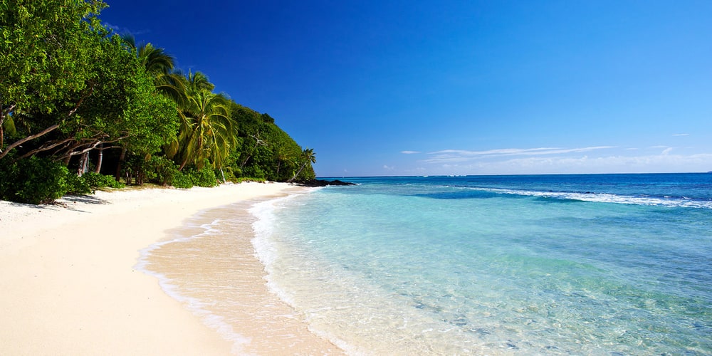 A white sand beach with palm trees and clear turquoise water under a deep blue sky