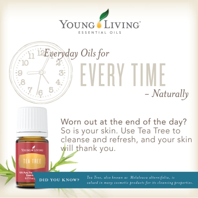 Essential Oils~ Which Carrier Oil For What
